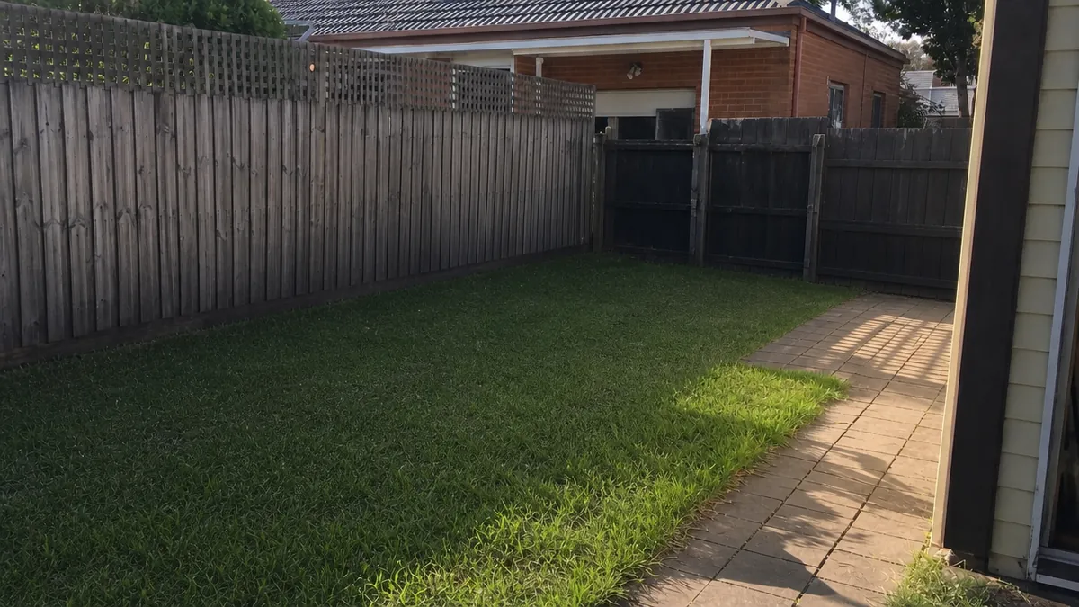 Backyard clean-up: after