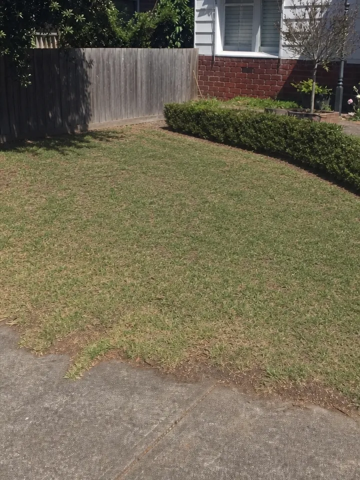 Side yard clean-up: after