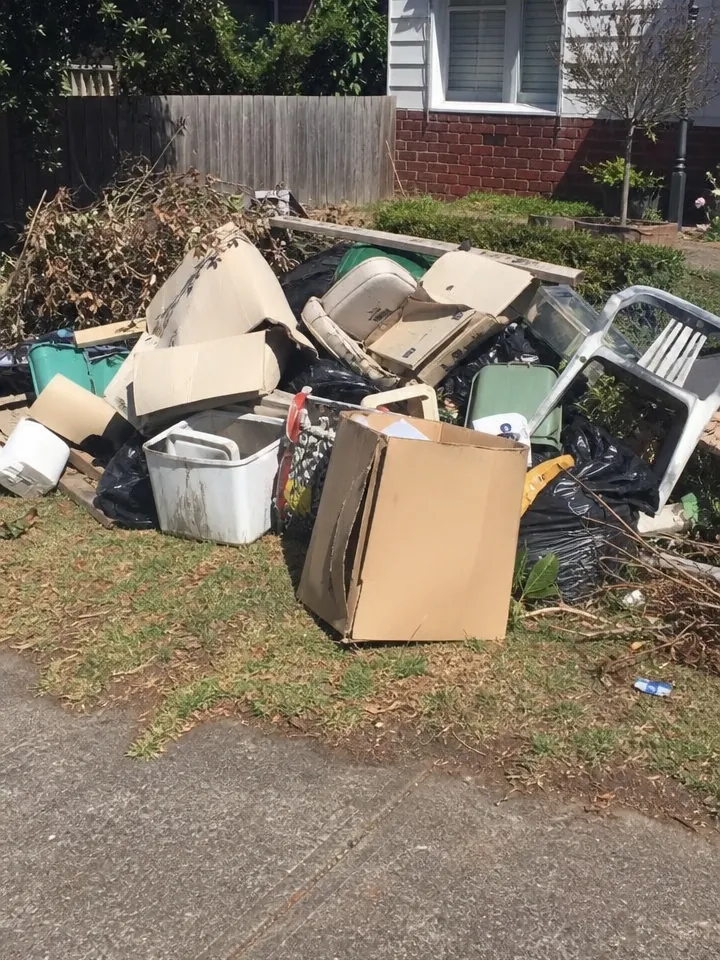 Side yard clean-up: before